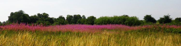 Homersfield Alburgh Wortwell