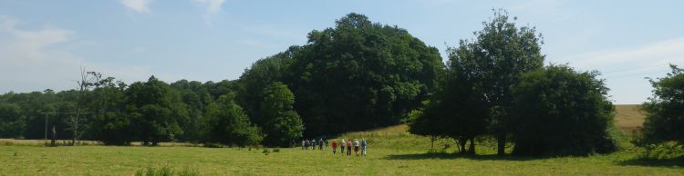 Homersfield Alburgh Wortwell