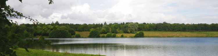 Wensum Group at Homersfield