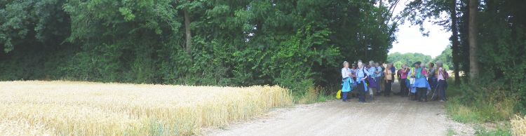 Wensum Group at Homersfield