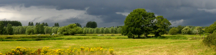 Wensum Group at Homersfield