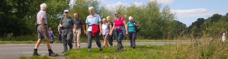 Great Yarmouth Group in Beccles