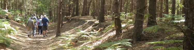 Blythburgh and Southwold