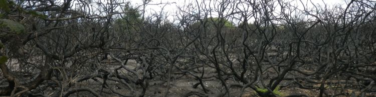 Blythburgh and Southwold