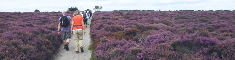 Ipswich Group around Minsmere