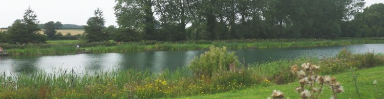 Wissett and Chediston