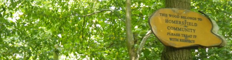 Homersfield and Mendham