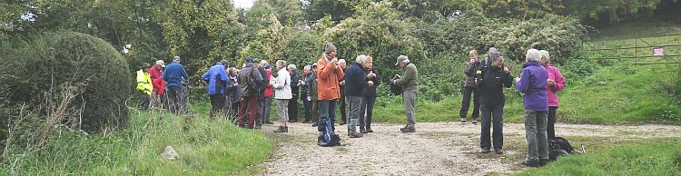 Bath Hills and Outney Common