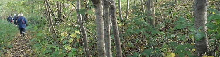 Southern Norfolk Group Mulbarton