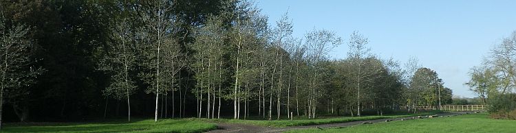 Southern Norfolk Group Mulbarton