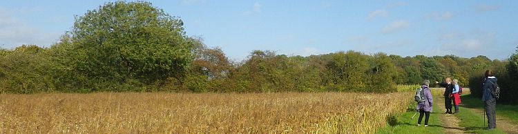 Southern Norfolk Group Mulbarton