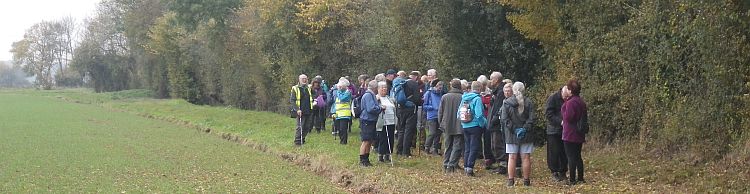 Wensum Group at Morningthorpe