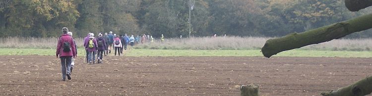 Wensum Group at Morningthorpe