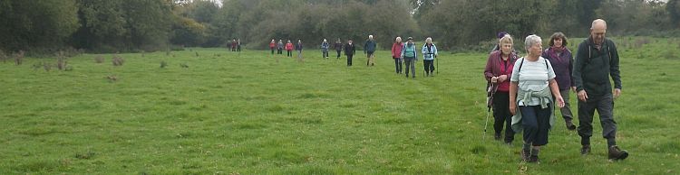 Wensum Group at Morningthorpe