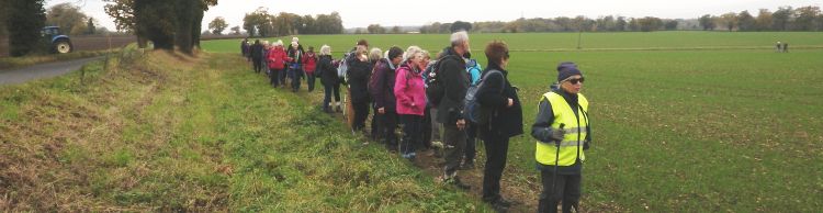 Wensum Group at Bergh Apton