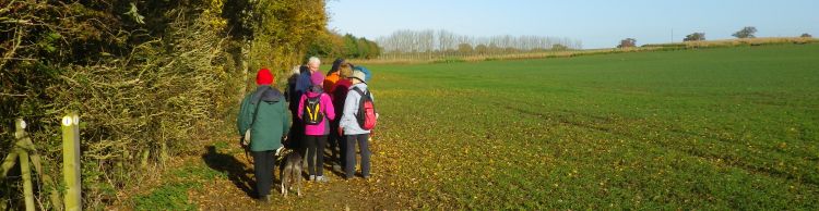 Southern Norfolk Group at Pulham Market