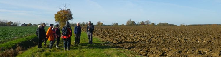 Southern Norfolk Group at Pulham Market
