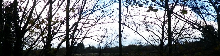 Homersfield and Sand Pits