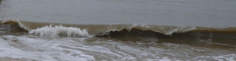 Great Yarmouth Group at Gorleston