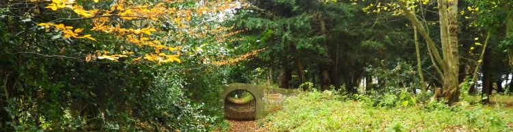 Dunwich Christmas Lunch Walk