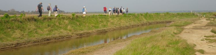 Walberswick Southwold Tinkers Marsh