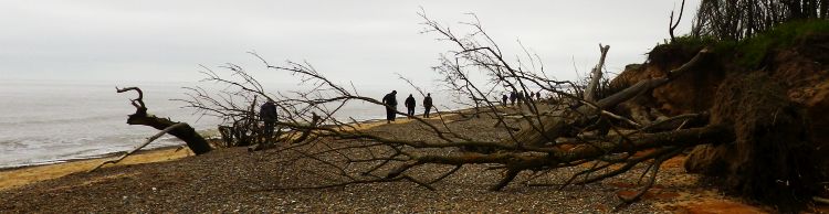 Covehithe and Reydon