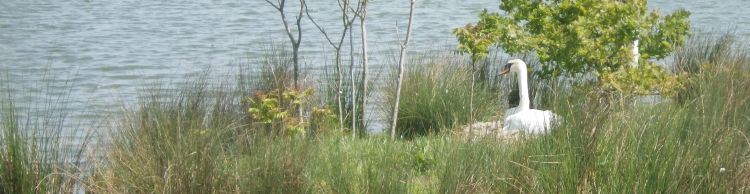 St James and St Cross