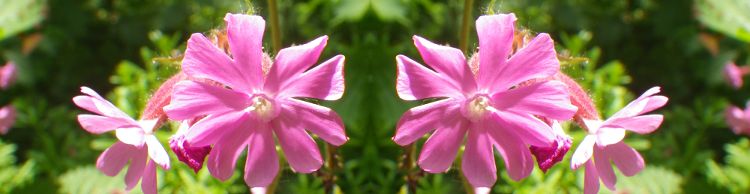 St James and St Cross