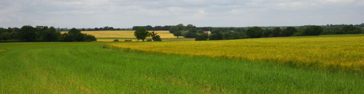 Redgrave and South Lopham Fen