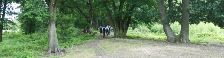Redgrave and South Lopham Fen