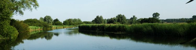 Breakfast Walk at Barnby