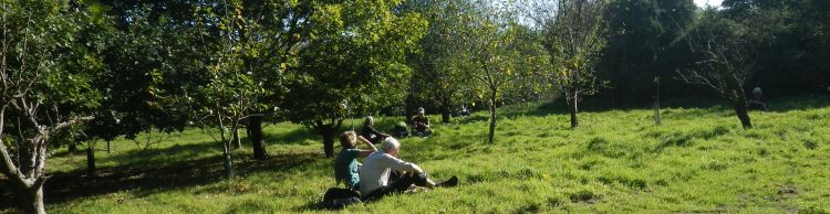Toft-Monks - Sausage Roll Walk