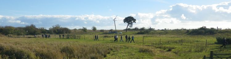 Walberswick and Tinker's Marsh
