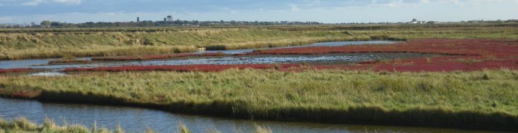 Walberswick and Tinker's Marsh