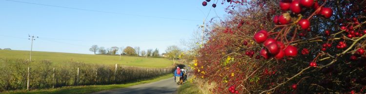 Chediston and Huntingfield