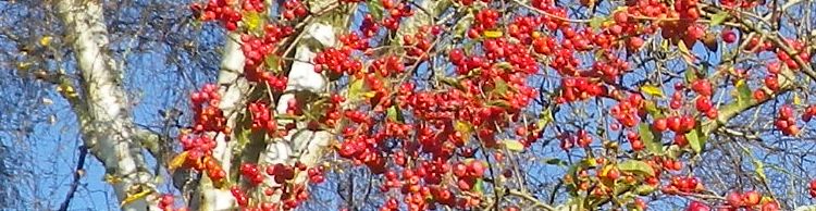 Chediston and Huntingfield