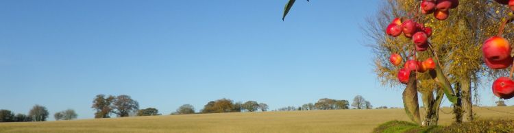 Chediston and Huntingfield