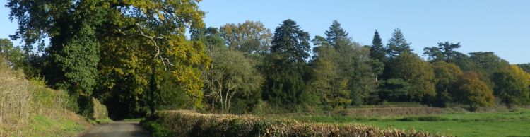 Harleston and Starston