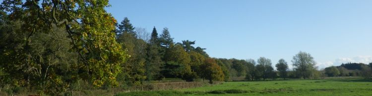 Harleston and Starston