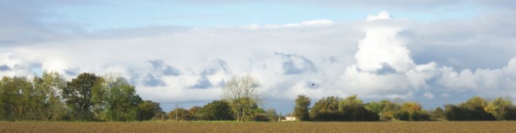 Harleston and Starston