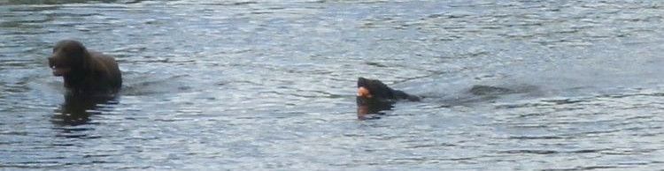 Outney Common and Hedenham