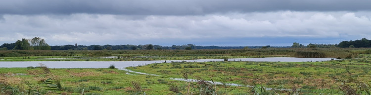 North Cove and Carlton