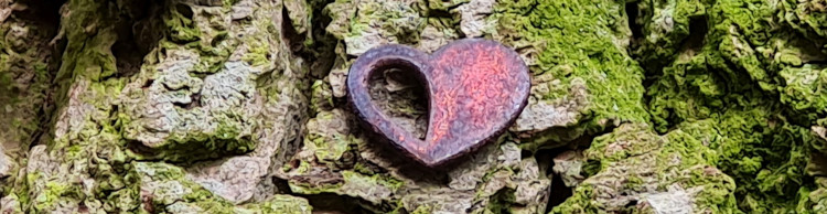 Hopton and Lound Lakes