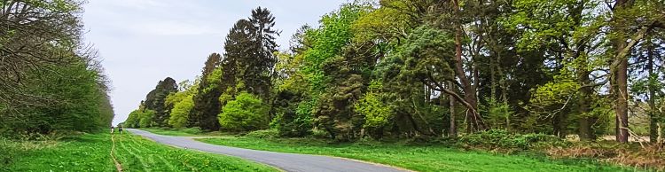 Angles Way 5 - Rushford