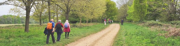 Angles Way 5 - Rushford