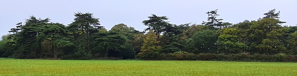 Wrentham and Covehithe