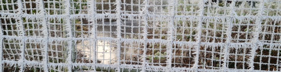 Shoe Devil and Fen Farm