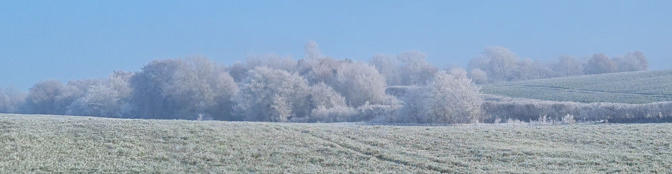 Shoe Devil and Fen Farm