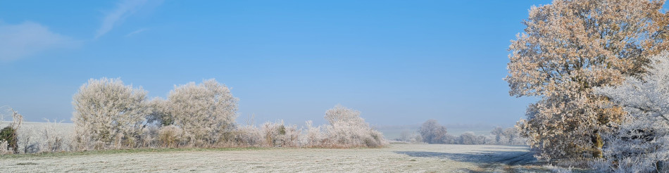 Shoe Devil and Fen Farm