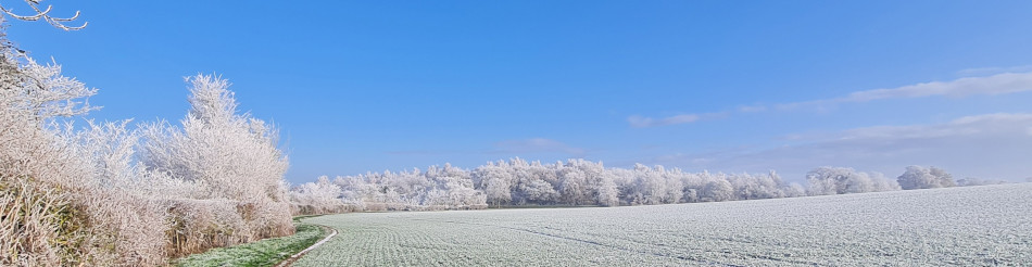 Shoe Devil and Fen Farm